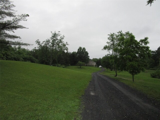 142 Adams Rd, Athens, NY 12051 - photo 11