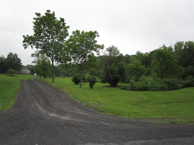 142 Adams Rd, Athens, NY 12051 - photo 12