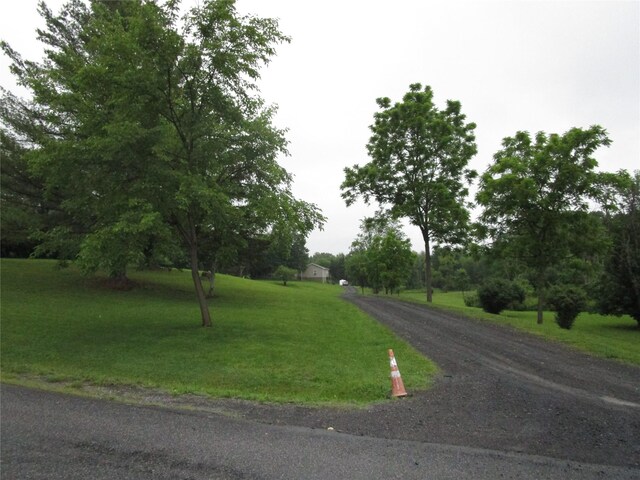 142 Adams Rd, Athens, NY 12051 - photo 13