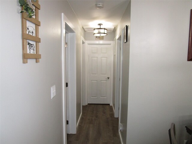 142 Adams Rd, Athens, NY 12051 - photo 19