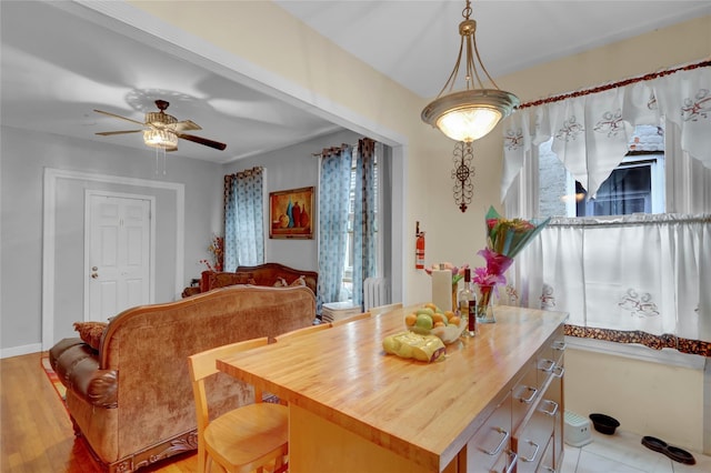 31 Tapscott St, Brooklyn, NY 11212 - dining area with a ceiling fan, light wood finished floors, and healthy amount of natural light