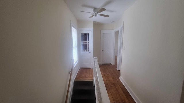 109 Garden St, Poughkeepsie, NY 12601 - hallway with dark wood-style floors and baseboards
