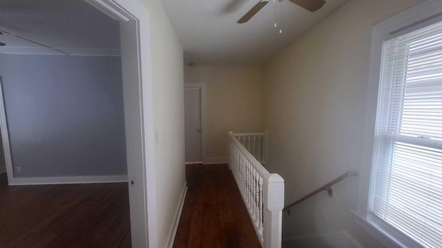 109 Garden St, Poughkeepsie, NY 12601 - hallway with an upstairs landing, wood finished floors, healthy amount of natural light, and baseboards