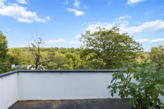 290 Mountain Rd, Pleasantville, NY 10570 - view of balcony