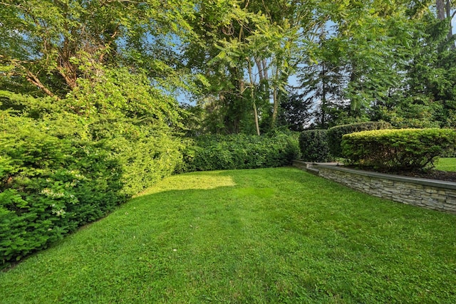 109 Dogwood Ln, Port Jefferson, NY 11777 - view of grassy yard
