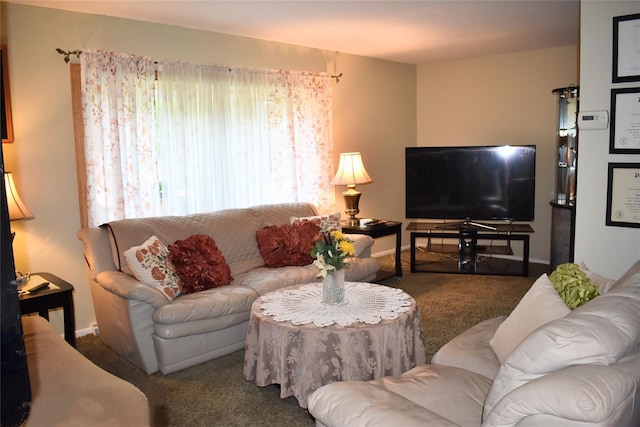 13 W Hickory St, Spring Valley, NY 10977 - living area featuring carpet flooring and baseboards