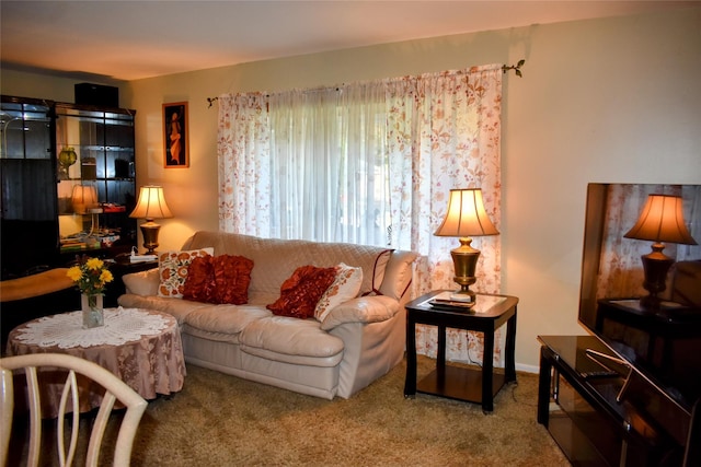 13 W Hickory St, Spring Valley, NY 10977 - living room featuring carpet