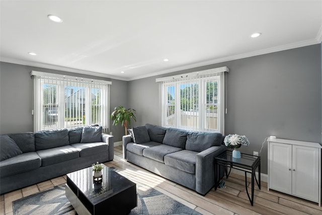 26 Fieldmere St, Elmont, NY 11003 - living area featuring healthy amount of natural light, recessed lighting, crown molding, and wood finished floors