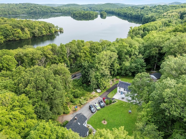 1302 Rte 22 Unit 1300, Brewster, NY 10509 - bird's eye view of a forest and a large body of water