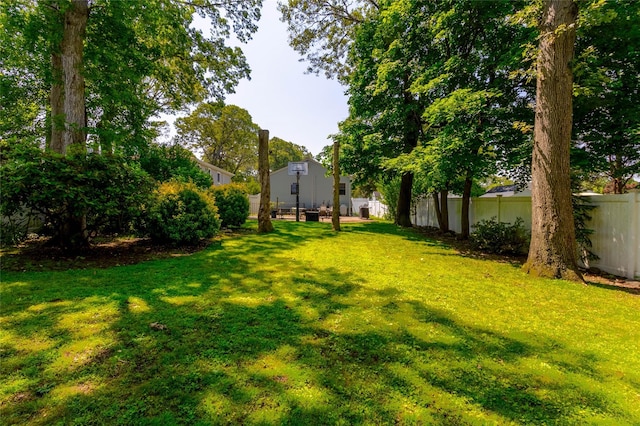 85 Ferndale Ave, Selden, NY 11784 - view of yard