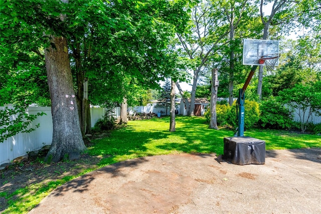 85 Ferndale Ave, Selden, NY 11784 - view of yard