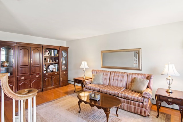 81 Brunswick Rd, Ronkonkoma, NY 11779 - living area featuring light wood finished floors
