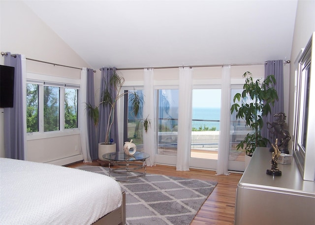 12 Sound View Dr, Rocky Point, NY 11778 - bedroom with lofted ceiling, multiple windows, a water view, light wood-style floors, and baseboard heating