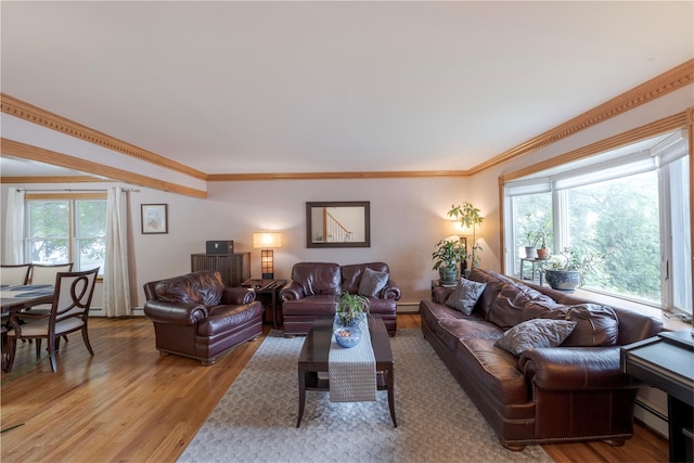 156 E Maujer St, Valley Stream, NY 11580 - living room with light wood-style floors, plenty of natural light, crown molding, a baseboard heating unit, and a baseboard radiator