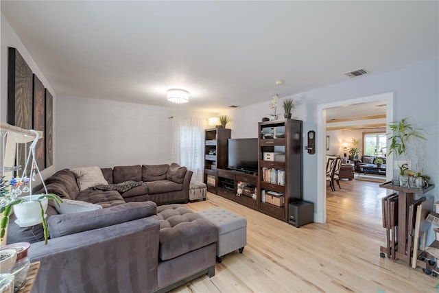 156 E Maujer St, Valley Stream, NY 11580 - living room with light wood-style flooring