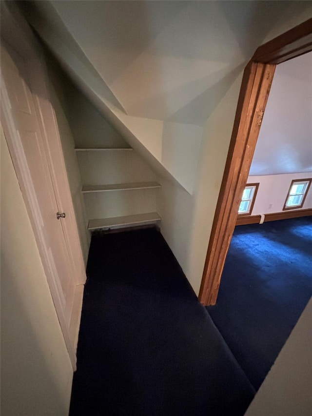 103 Continental Rd, Napanoch, NY 12458 - additional living space with carpet flooring and vaulted ceiling