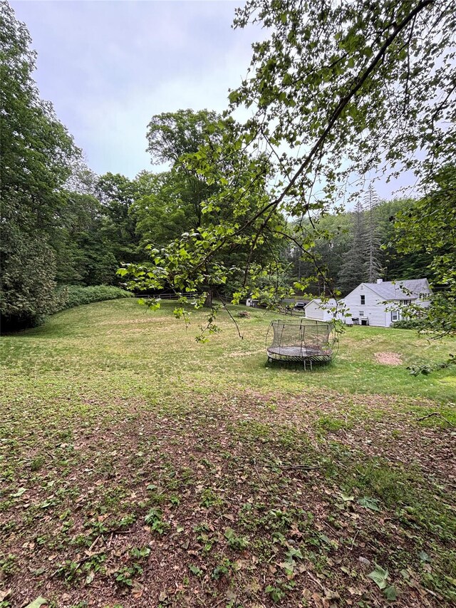 103 Continental Rd, Napanoch, NY 12458 - view of green lawn featuring a trampoline and a view of trees