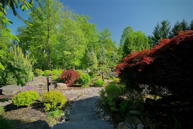 4 Friar Tuck Ct, Orangeburg, NY 10962 - photo 43