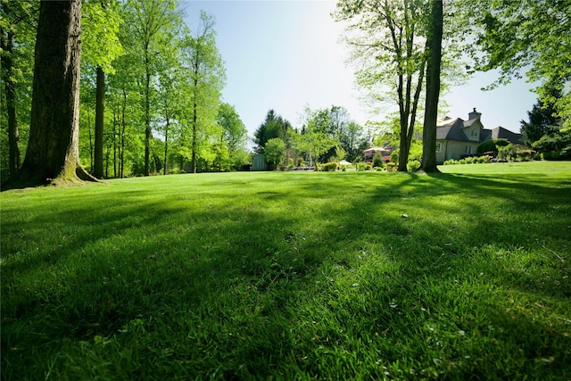 4 Friar Tuck Ct, Orangeburg, NY 10962 - photo 46