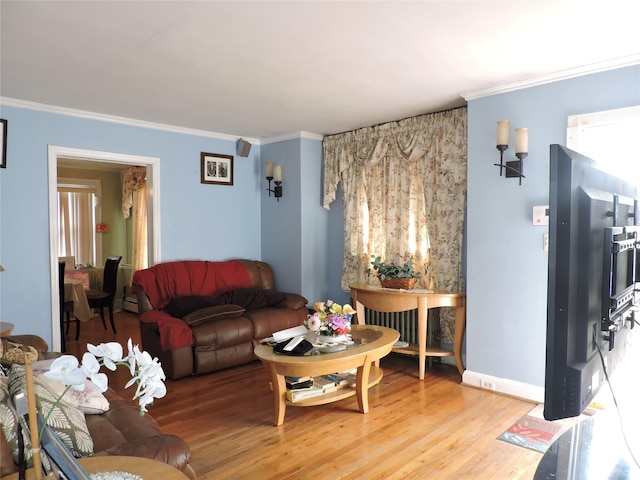 713 Colonial St, Uniondale, NY 11553 - living room featuring crown molding, light wood-type flooring, and baseboards