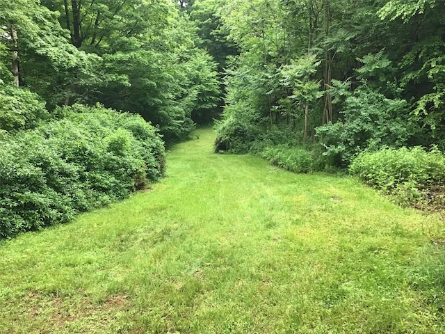 1814 Rte 199, Stanfordville, NY 12581 - view of yard with a view of trees
