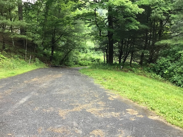 1814 Rte 199, Stanfordville, NY 12581 - view of road with a forest view