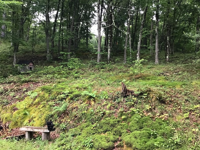1814 Rte 199, Stanfordville, NY 12581 - view of wooded area