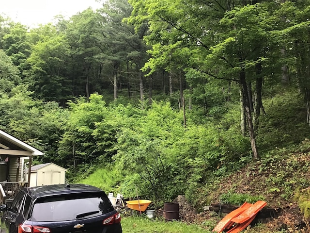 1814 Rte 199, Stanfordville, NY 12581 - view of yard with a forest view