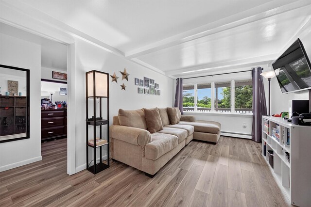 98 Greenhaven Rd, Poughquag, NY 12570 - living room featuring a baseboard radiator, light wood-style flooring, and beam ceiling