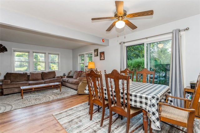 37 Old Mill Rd, Yorktown Heights, NY 10598 - dining area featuring light wood-type flooring and ceiling fan
