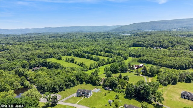 10 Wyllys Ct, Rock Tavern, NY 12575 - aerial view of a heavily wooded area and a mountain backdrop