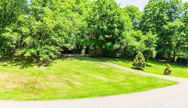 32 Overhill Rd, Yorktown Heights, NY 10598 - view of community featuring a yard