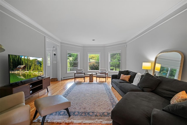32 Woodcrest Ln, Goshen, NY 10924 - living area with ornamental molding and light wood-type flooring