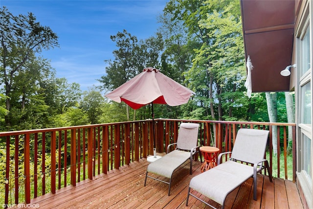 74 Brandy Ln, Wappingers Falls, NY 12590 - photo 22