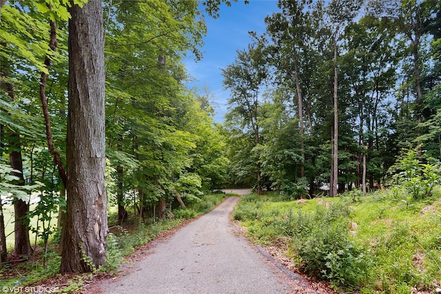 74 Brandy Ln, Wappingers Falls, NY 12590 - photo 23