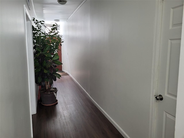 3039 Fulton St, Brooklyn, NY 11208 - corridor with dark wood-style flooring and baseboards