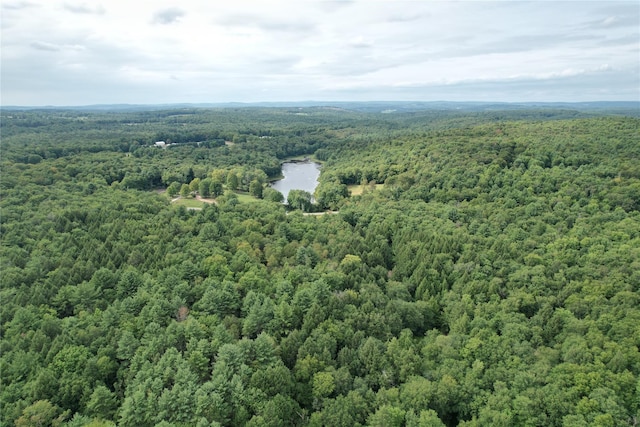 John Bishop Rd, Swan Lake, NY 12783