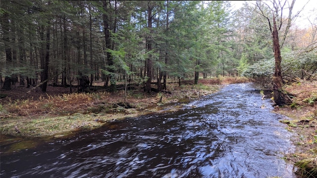 John Bishop Rd, Swan Lake, NY 12783