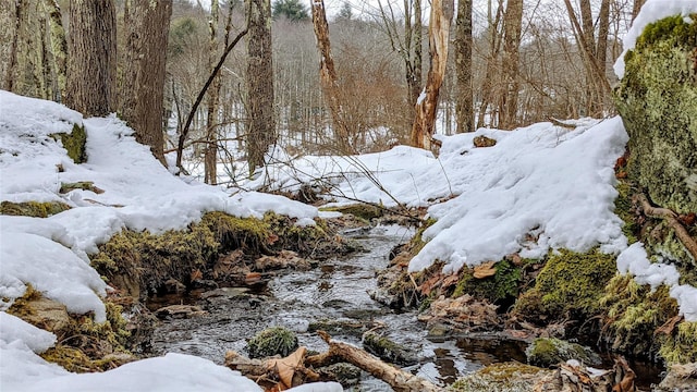 John Bishop Rd, Swan Lake, NY 12783