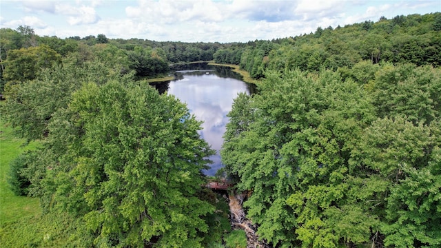 37 John Bishop Rd, Bethel, NY 12783 - photo 4