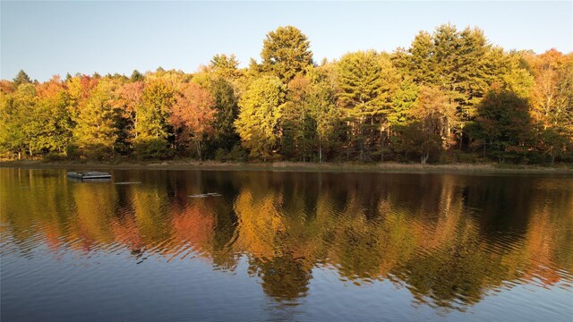 37 John Bishop Rd, Bethel, NY 12783 - photo 18