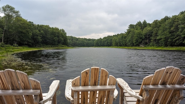 37 John Bishop Rd, Bethel, NY 12783 - photo 21