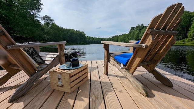 37 John Bishop Rd, Bethel, NY 12783 - photo 22
