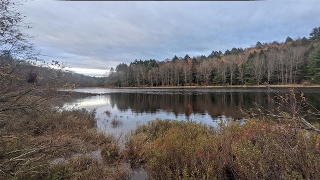 37 John Bishop Rd, Bethel, NY 12783 - photo 26