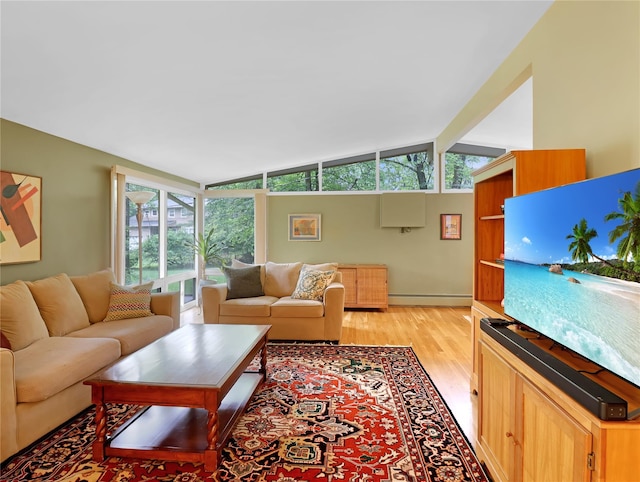 2 Hedge Row, New City, NY 10956 - living room with a baseboard radiator, light wood-type flooring, and healthy amount of natural light