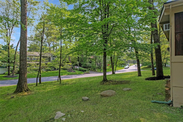 2 Hedge Row, New City, NY 10956 - view of grassy yard