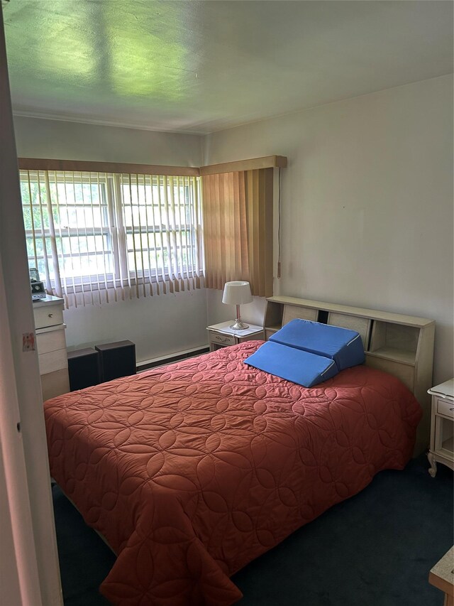 21 Stillman Rd, Glen Cove, NY 11542 - carpeted bedroom with a baseboard radiator