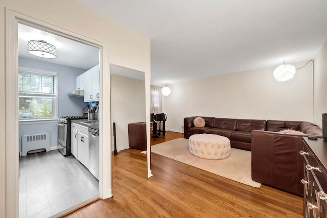 61 Columbus Ave Unit 1B, West Harrison, NY 10604 - living area featuring radiator heating unit and light wood-style flooring