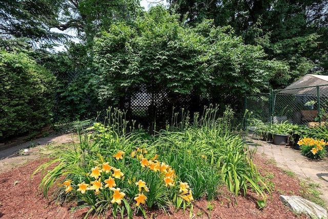 115 Primrose Ave, Mount Vernon, NY 10552 - view of yard with a garden