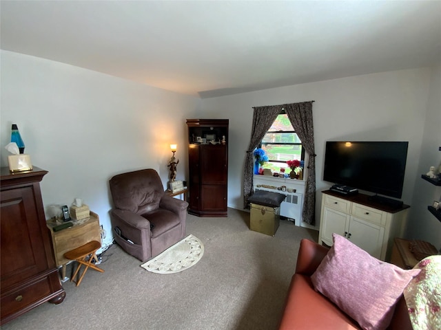 73-19 217th St Unit Nd, Oakland Gardens, NY 11364 - view of carpeted living room